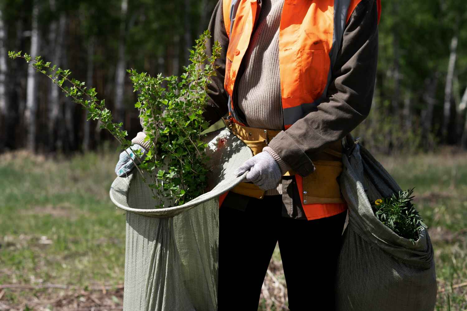 Best Tree Stump Removal  in St Jaco, IL